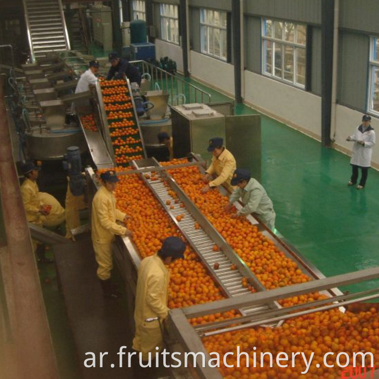 Automatic fruit juice processing plant 